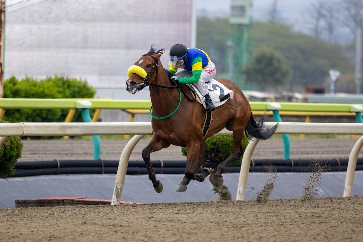 ほむん tweet media