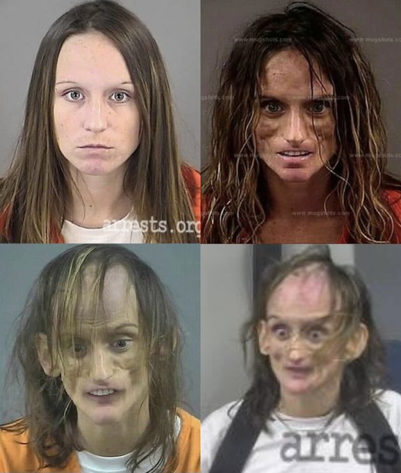 ネットの珍動画研究所 tweet media