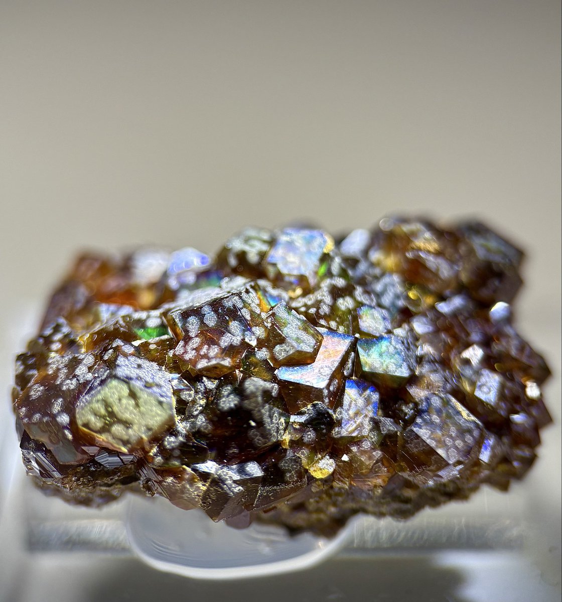 夢の欠片 tweet media