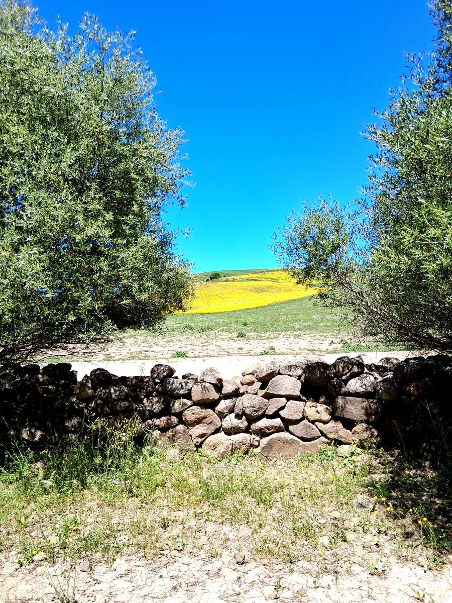 Dania's🐱🎈 tweet media