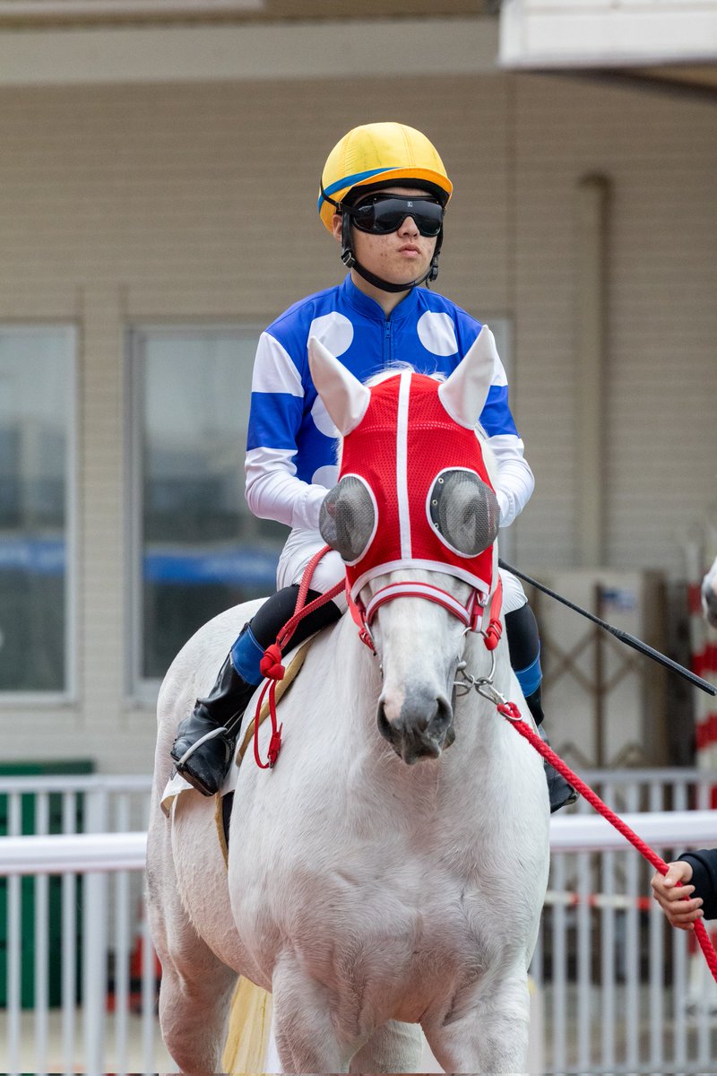 ほむん tweet media