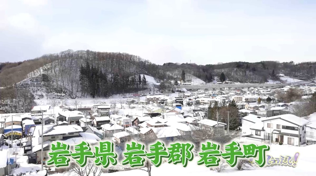 笑ってコラえて！【公式】🗻🦅🍆✨ tweet media