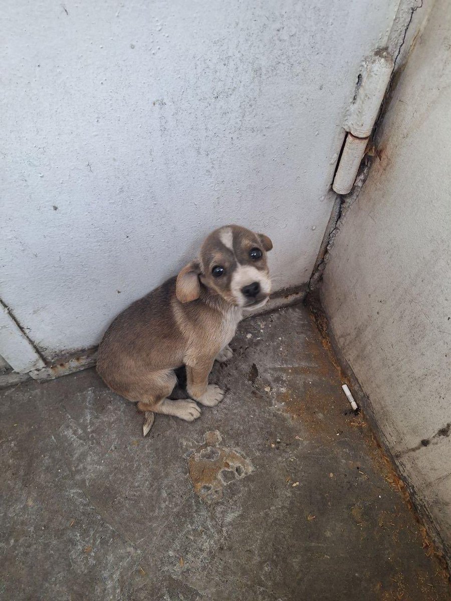 kristina 🪬 tweet media