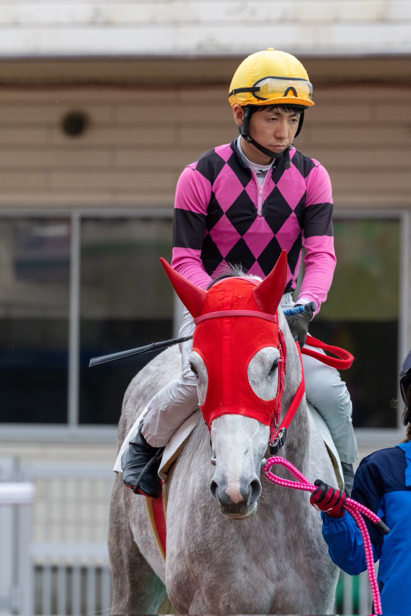 ほむん tweet media