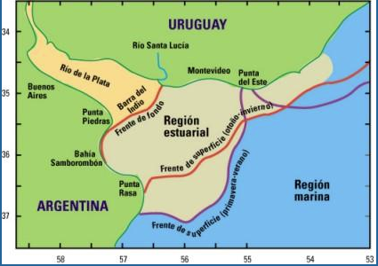 Profe Pedro ⚡️ tweet media