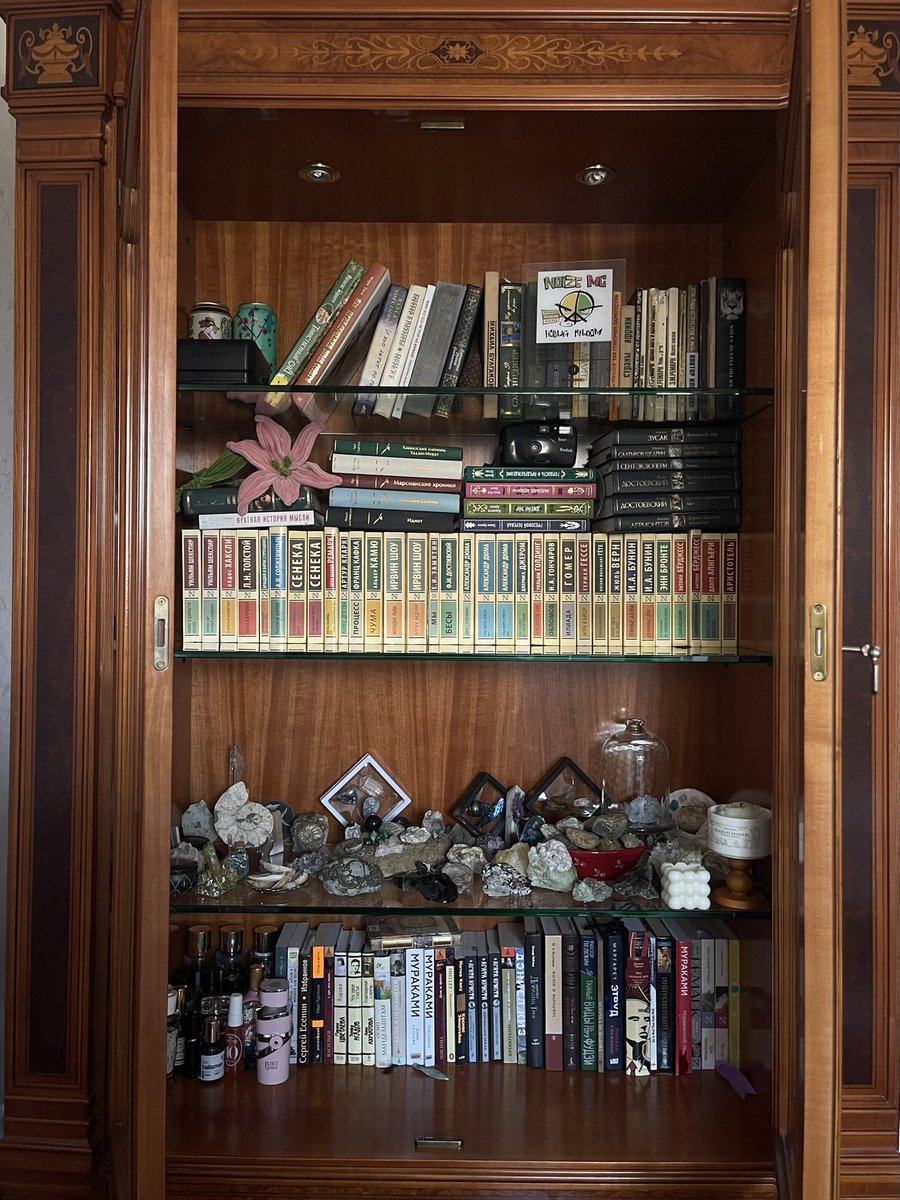 гуляя!¡ tweet media