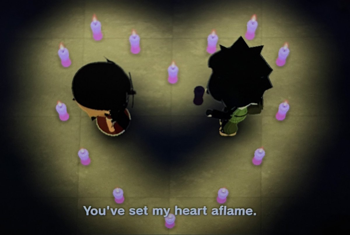 pavluv 🐟 tweet media