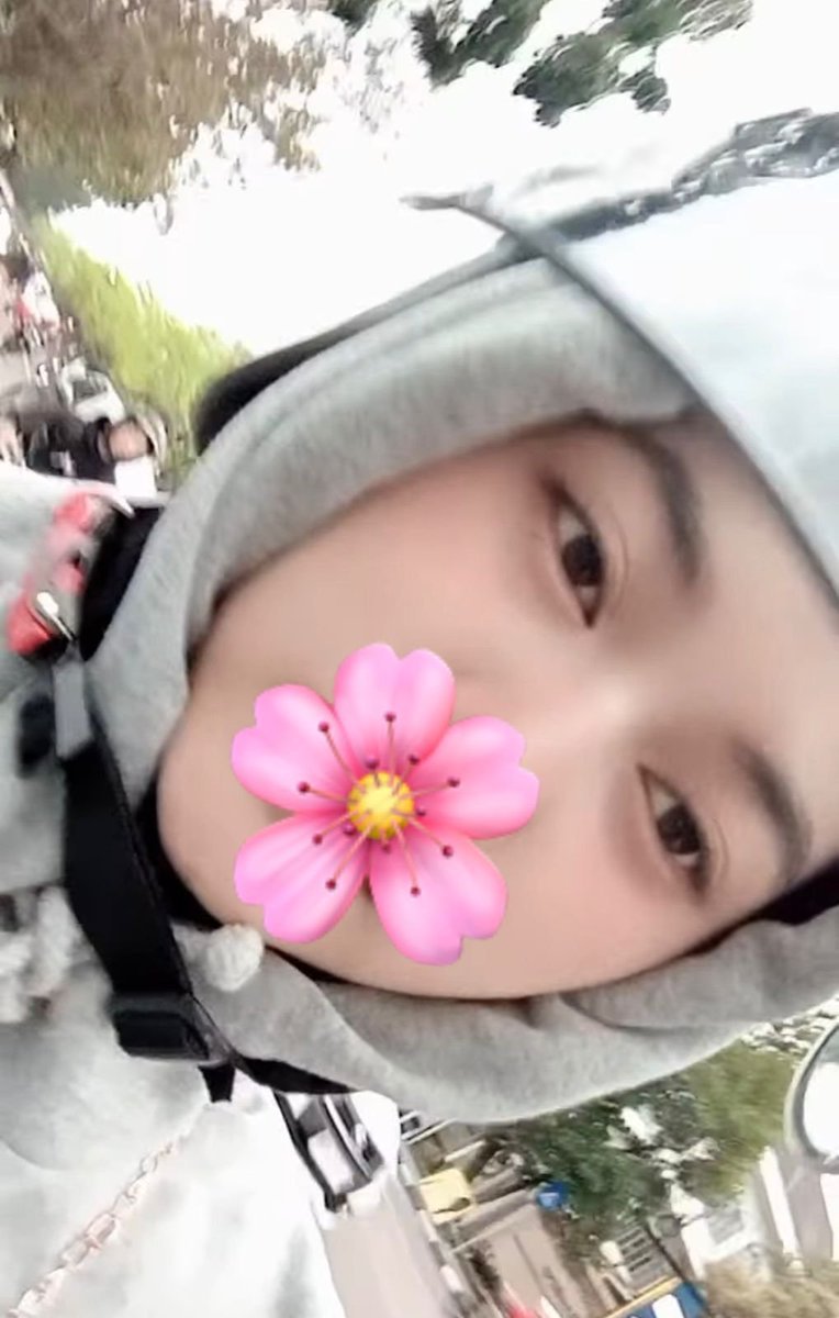 Alter X Fantasy tweet media