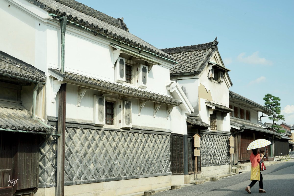 fromnagoya/名古屋で穏やかな暮らし tweet media