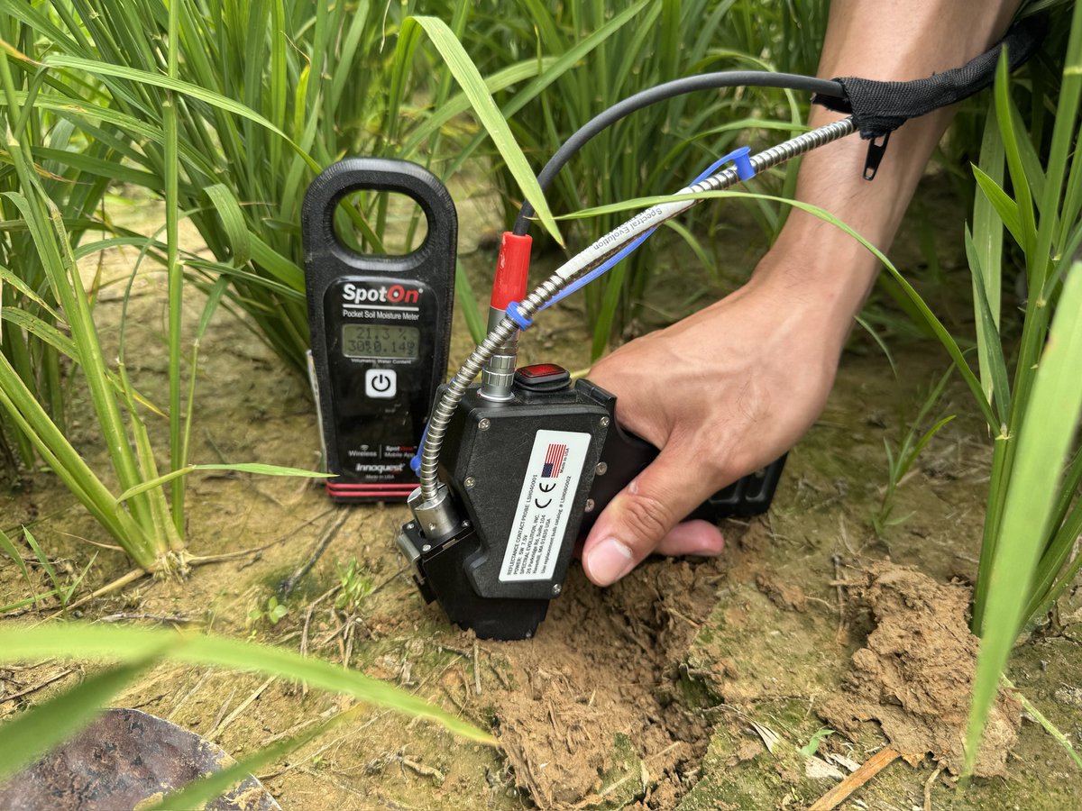 NickChouNKC's tweet photo. Proximal sensing for in-field measurements can facilitate effective farmland management, thereby supporting the development of precision agriculture. https://t.co/DI2ufIYc9s
