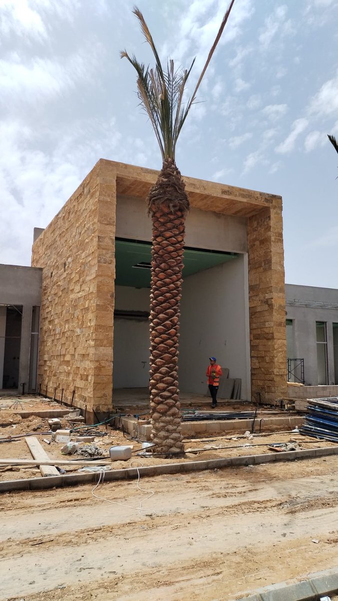 Natural_ston's tweet photo. حجر وجه الجبل اصفر https://t.co/HWA3D0wnO3