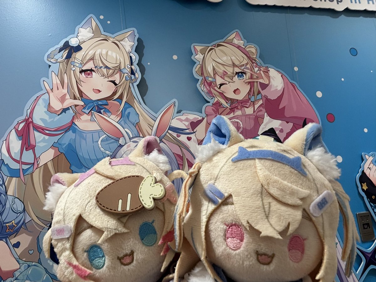 ぬこた🐾🧪 tweet media