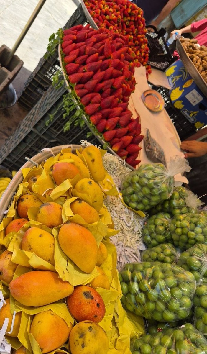 عالیه صالحی tweet media