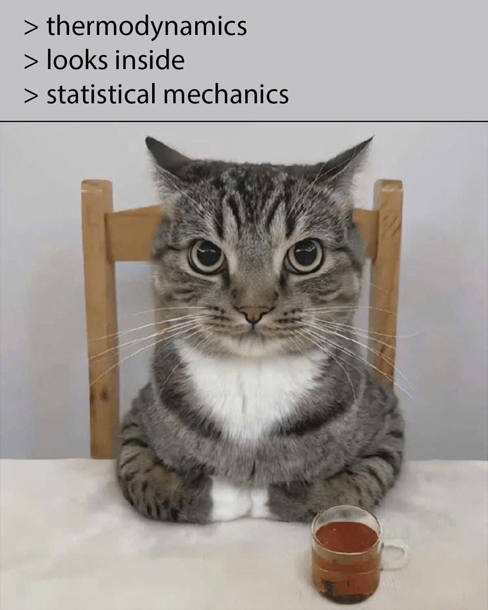 Mathieu (@miniapeur) on Twitter photo 