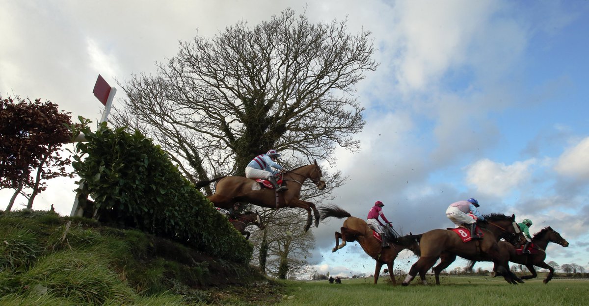 The Winners Enclosure tweet media