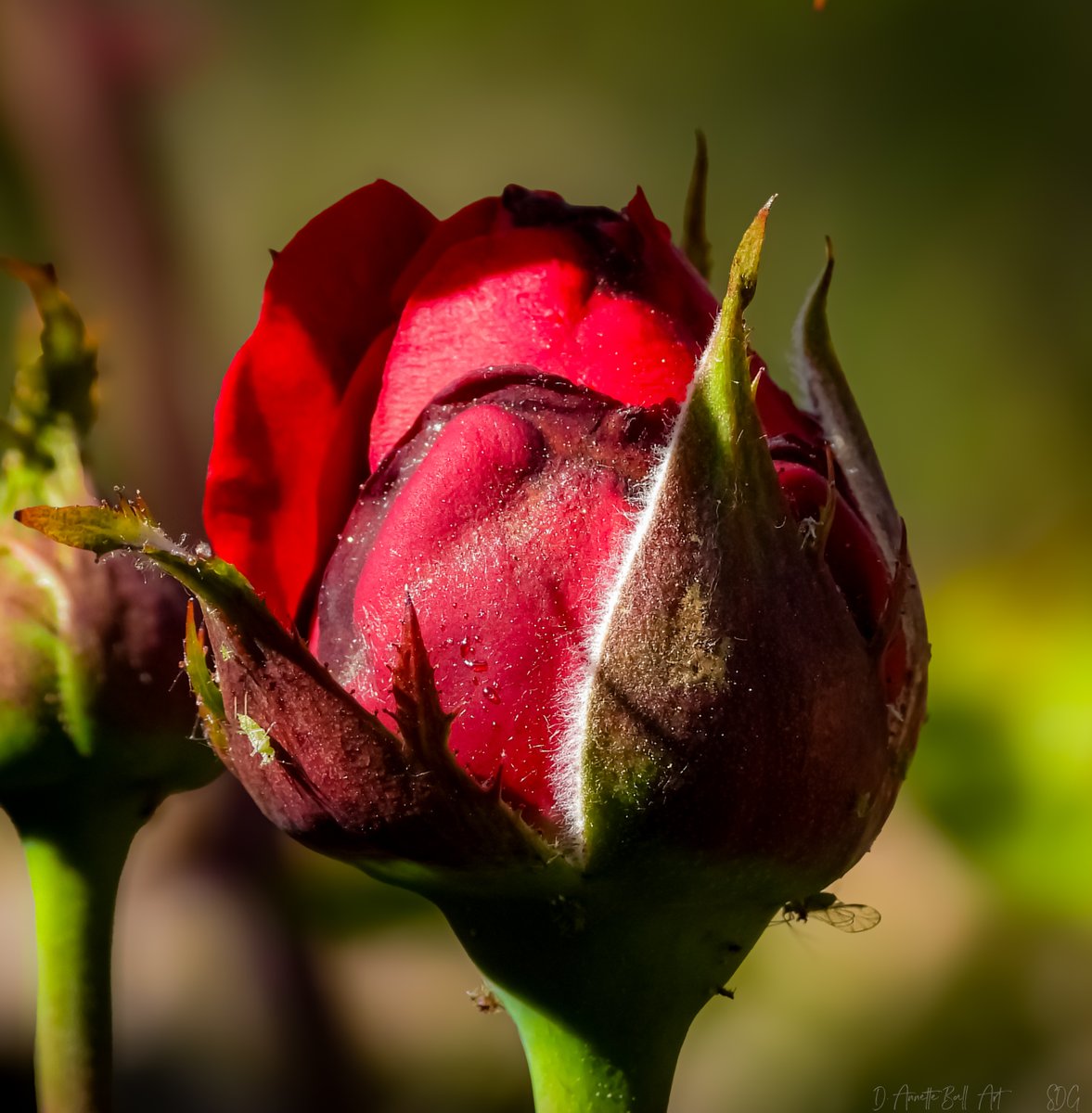 Objet l’Artist tweet media