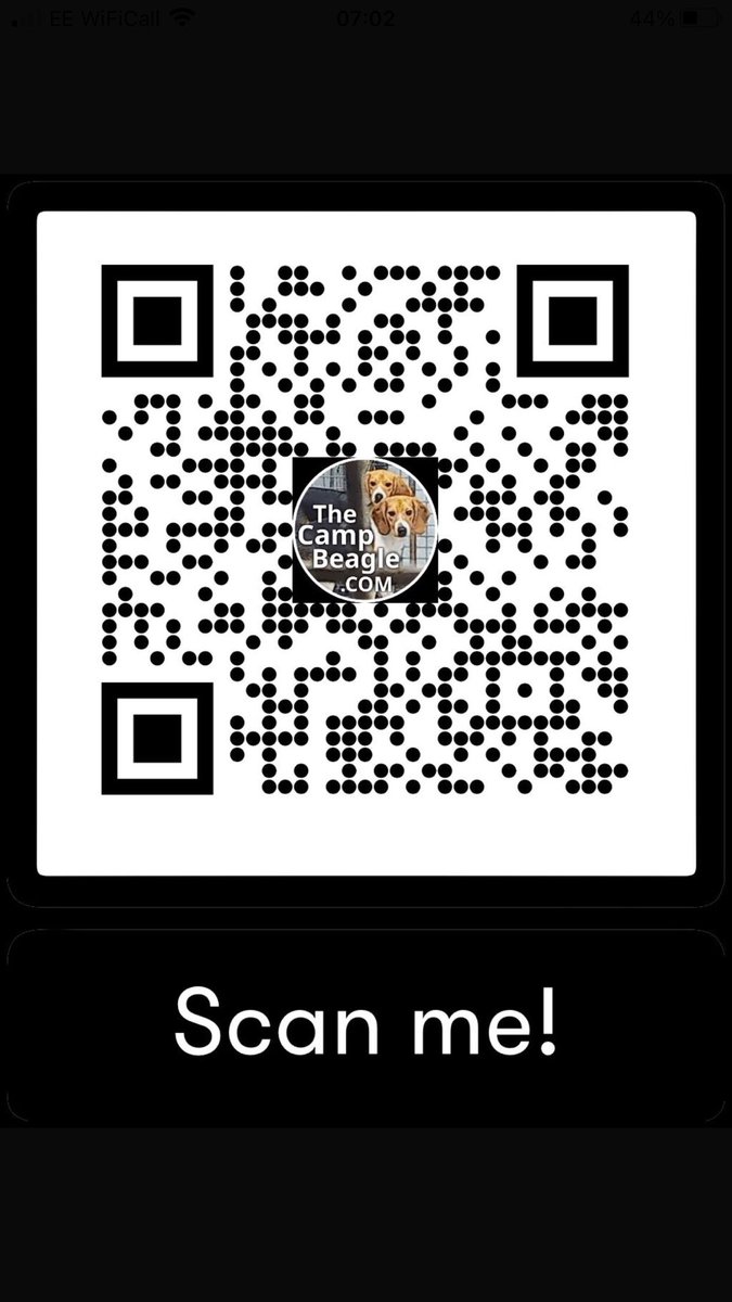 hellsbellsus's tweet image. Camp Beagles John and Sole walked 66 miles Huntingdon to Parliament Square for todays 4.30 pm E petition debate inside Parliament. They should arrive 12-12.30 and supporters will be there from 12 onwards until the end of the debate. Come and support them. #stopanimaltesting