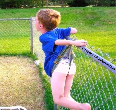 Aztec LitVM Seer🔥 tweet media