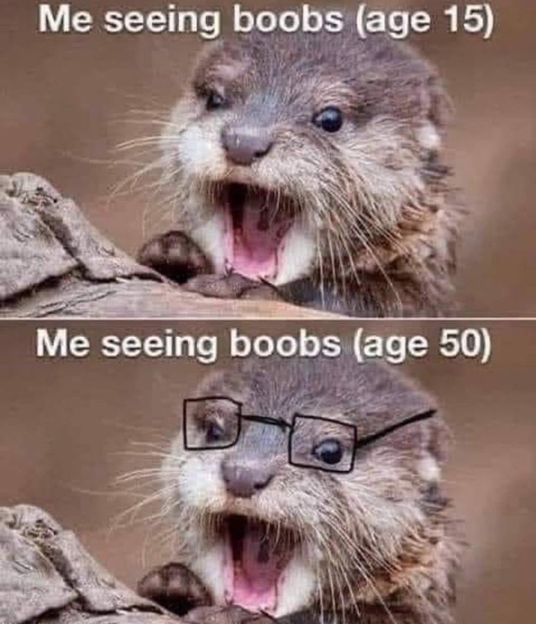 Ман дель Штамм 🇱🇻🇺🇦 tweet media