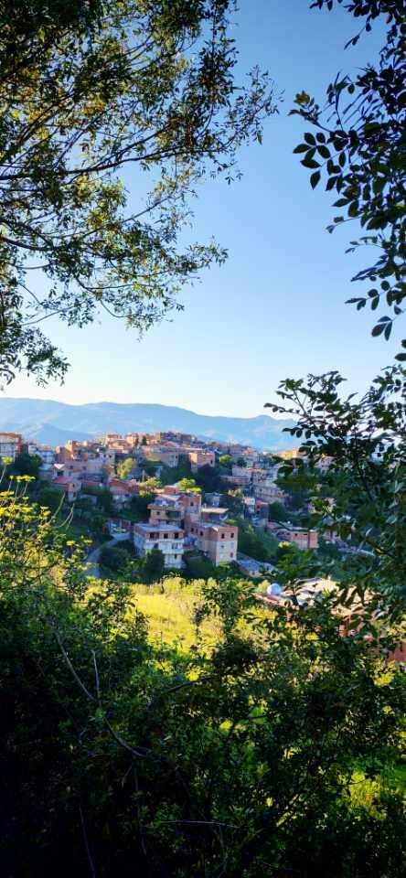 🇩🇿صبا ركان tweet media