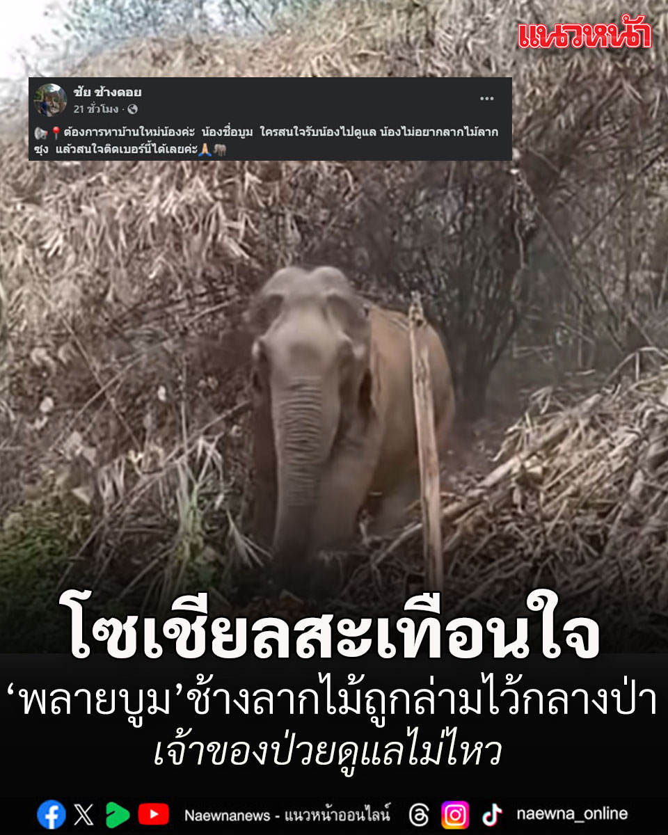 แนวหน้าออนไลน์ tweet media