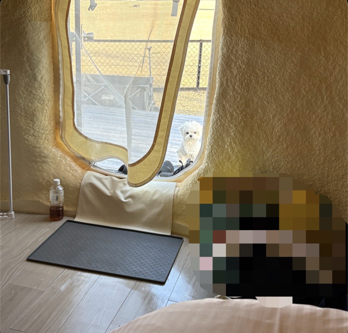 ぼく、ライス tweet media