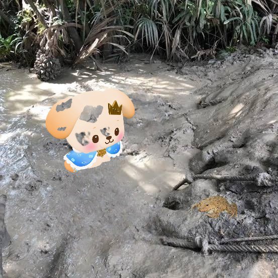 ม๋าด้วง tweet media