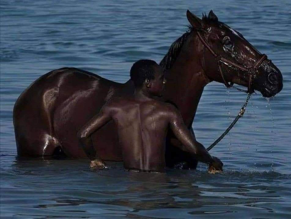 the culture | magazine tweet media