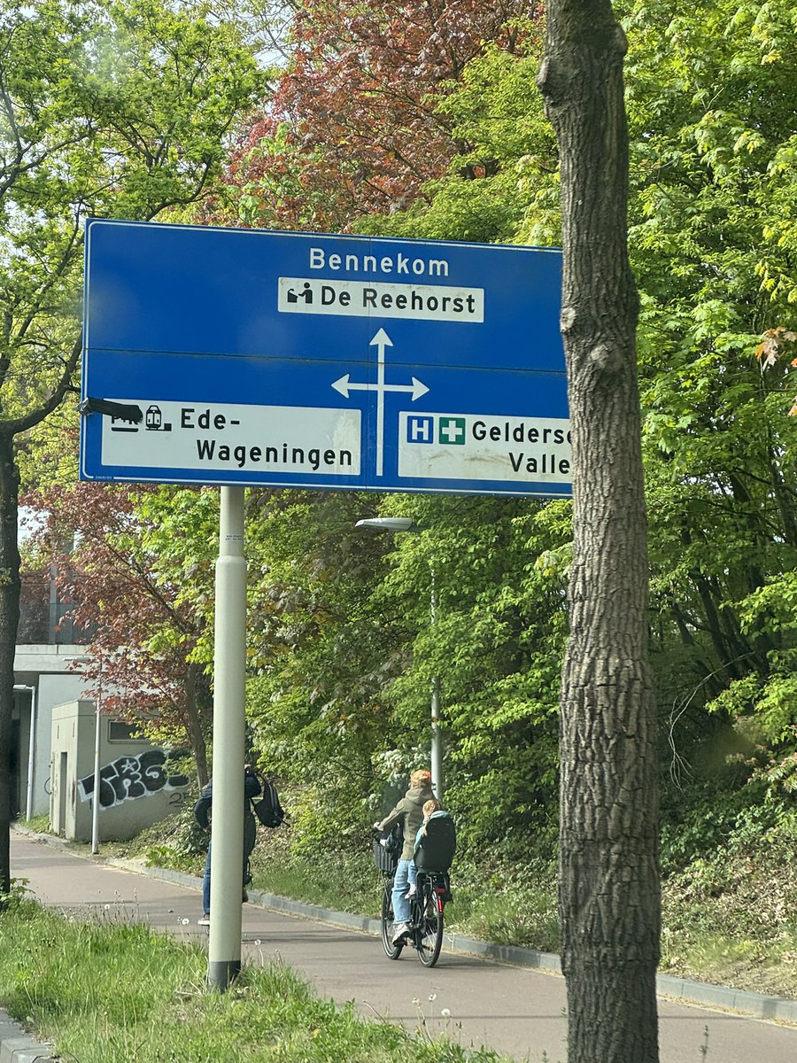 Roger Scheeren tweet media