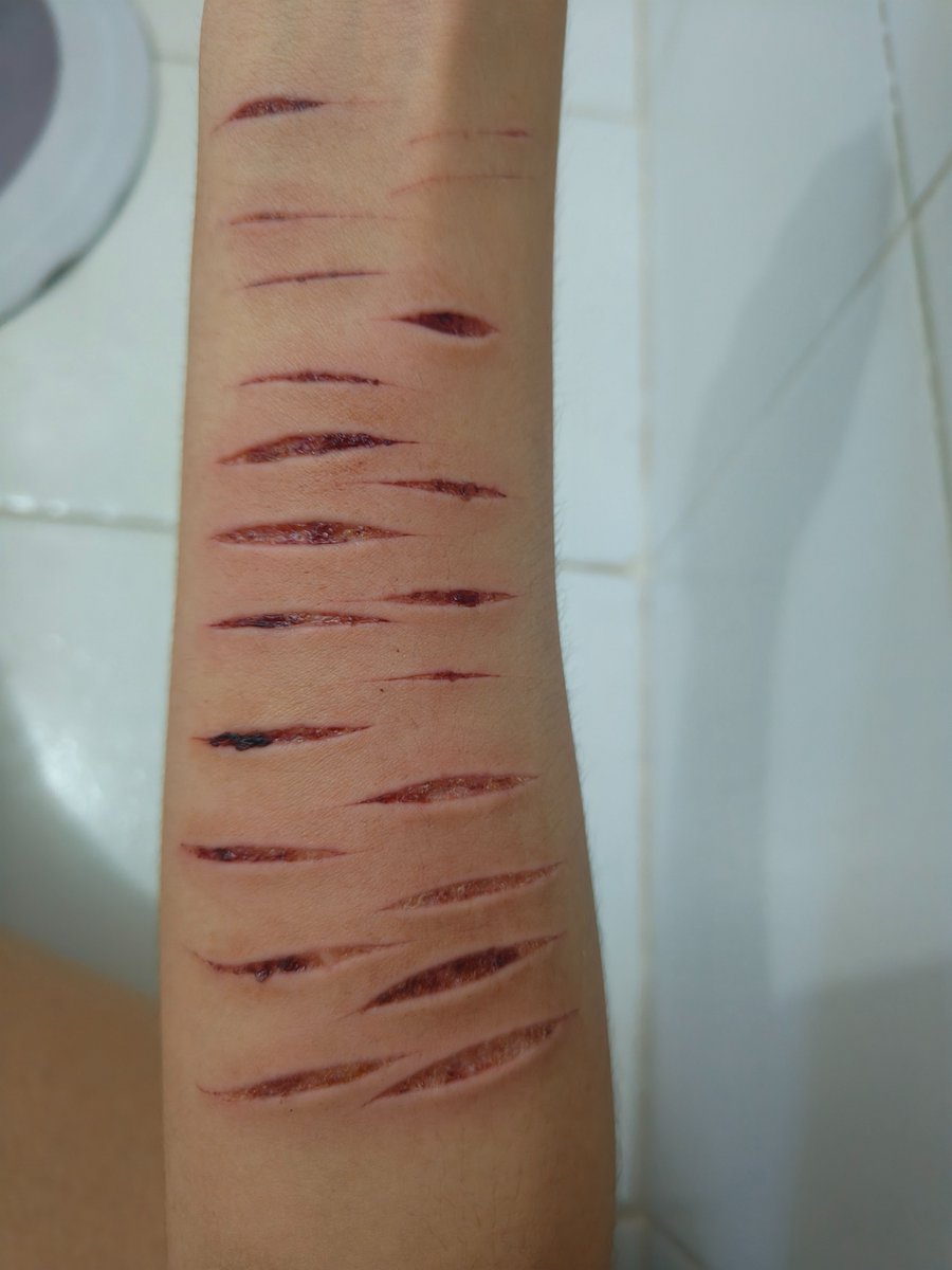 xerces // shedtwt tweet media