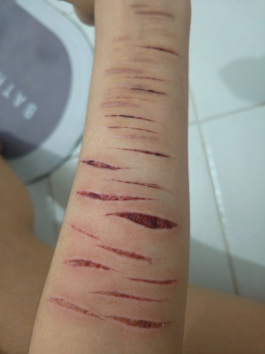 xerces // shedtwt tweet media