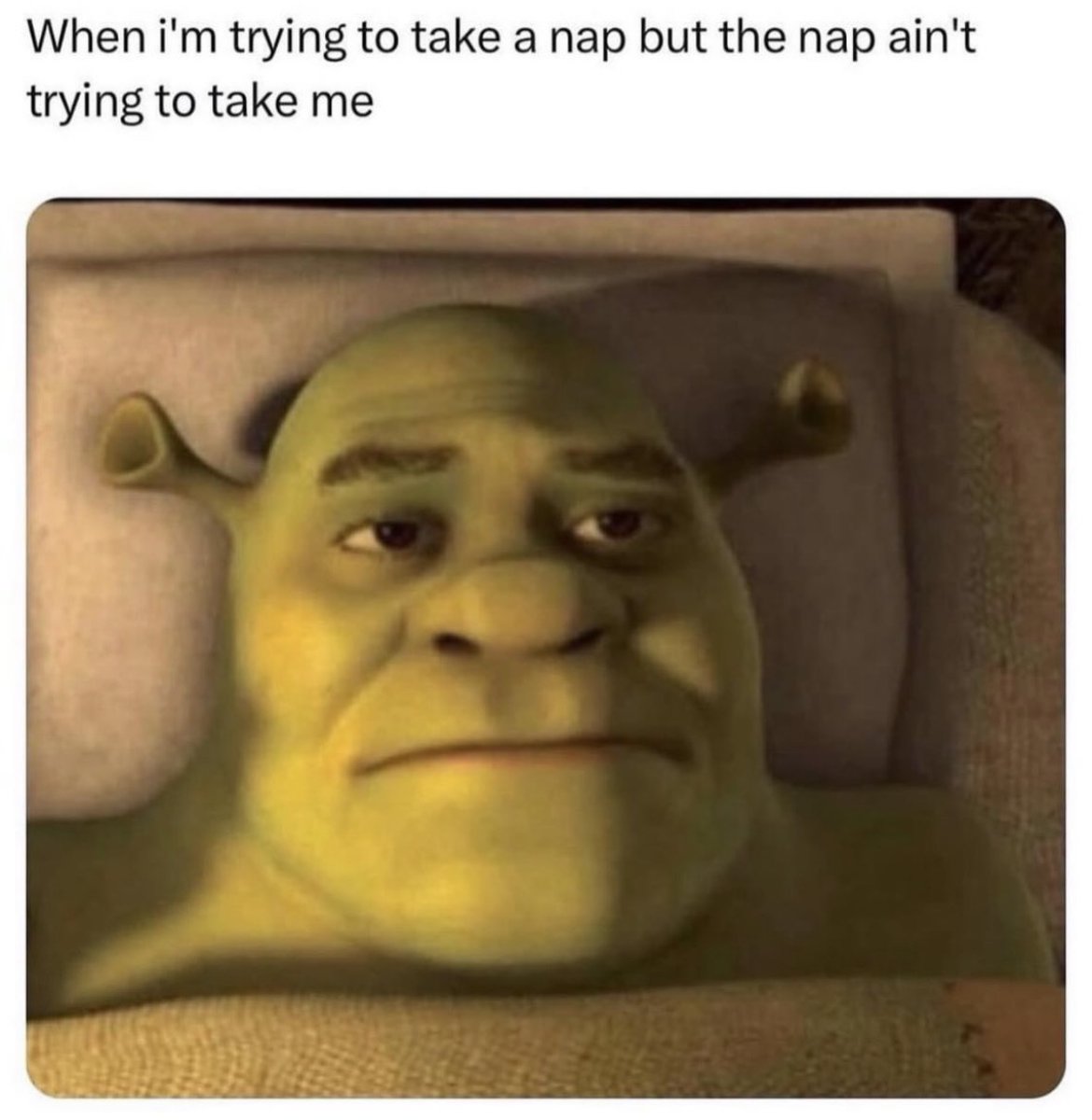 Respectful Memes tweet media