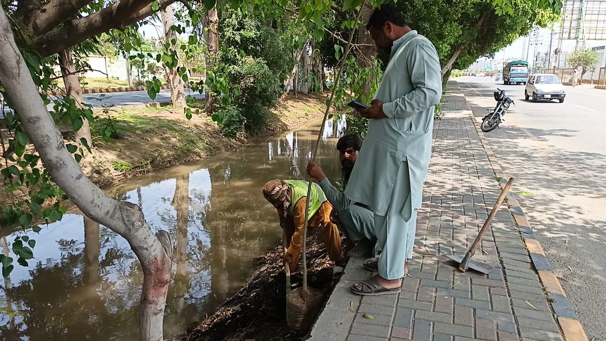 PhaLhr's tweet photo. وزیر اعلی پنجاب محترمہ مریم نواز شریف صاحبہ کے گرین پنجاب ویژن کے تحت پی ایچ اے لاہور کے ملازمین شہر میں شاہراہوں ، گرین بیلٹ اور پارکوں میں ہارٹی کلچر کا
کام کررہے ہیں ۔
#lahore #green #horticulture #lahori https://t.co/w7mNsmbZBO