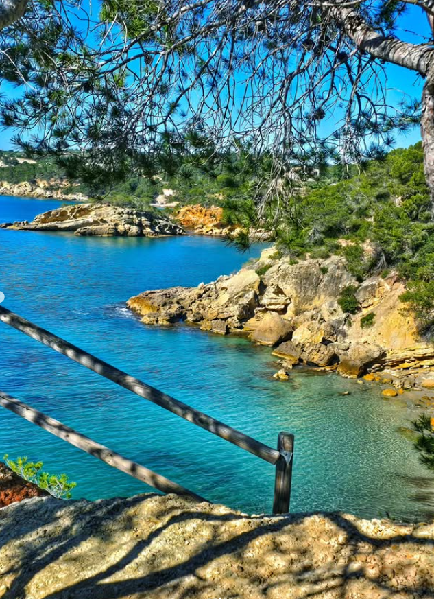ametllademartur's tweet photo. Al #camíderonda #Gr92 de la #costa de l’#AmetlladeMar, perdre’s entre pins, escoltar el silenci trencat només per la mar i descobrir cales d’aigua cristal·lina és gairebé un ritual.
📸 Xavier Culega Hueto
#TerresdelEbre #CatalunyaExperience https://t.co/kcFd80qGkZ