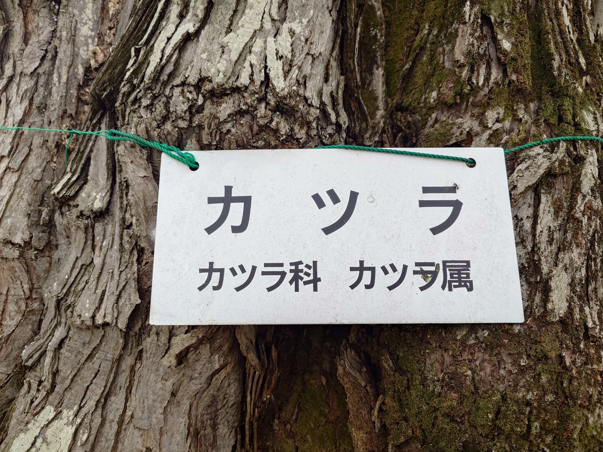 あっきー☄️ tweet media