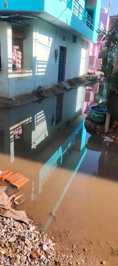 Kanpur Needs tweet media