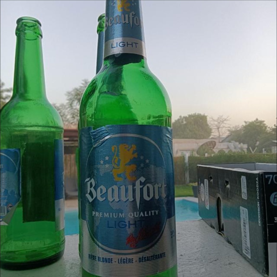 Morphine⚕️ tweet media