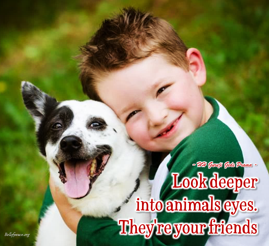 gede_prama's tweet image. Look deeper... #bali #love #peace #meditation #JoyTrain
bellofpeace.org
Photo courtesy: Pinterest