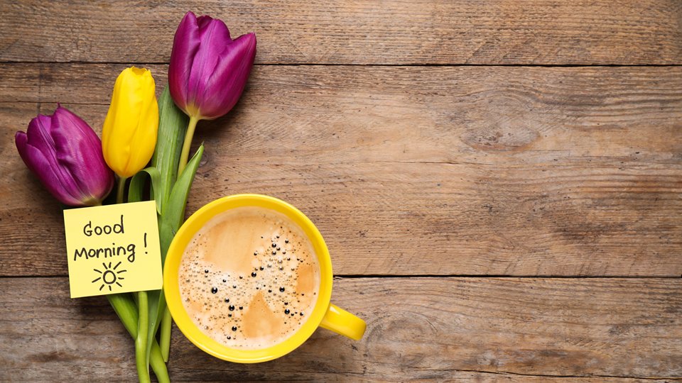 JCPinDevon's tweet image. Morning #Devon! 

To start your week click the link for an #Admin job search: ow.ly/rLmF50VPRpM

We will also bring you more #DevonJobs, advice and opportunities as well as answer any questions, live, until 5pm today. Darrin