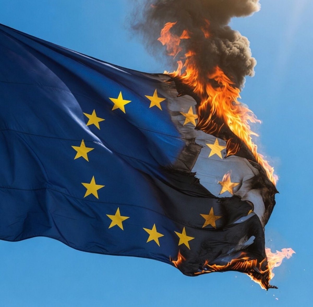 Mario ZNA tweet media