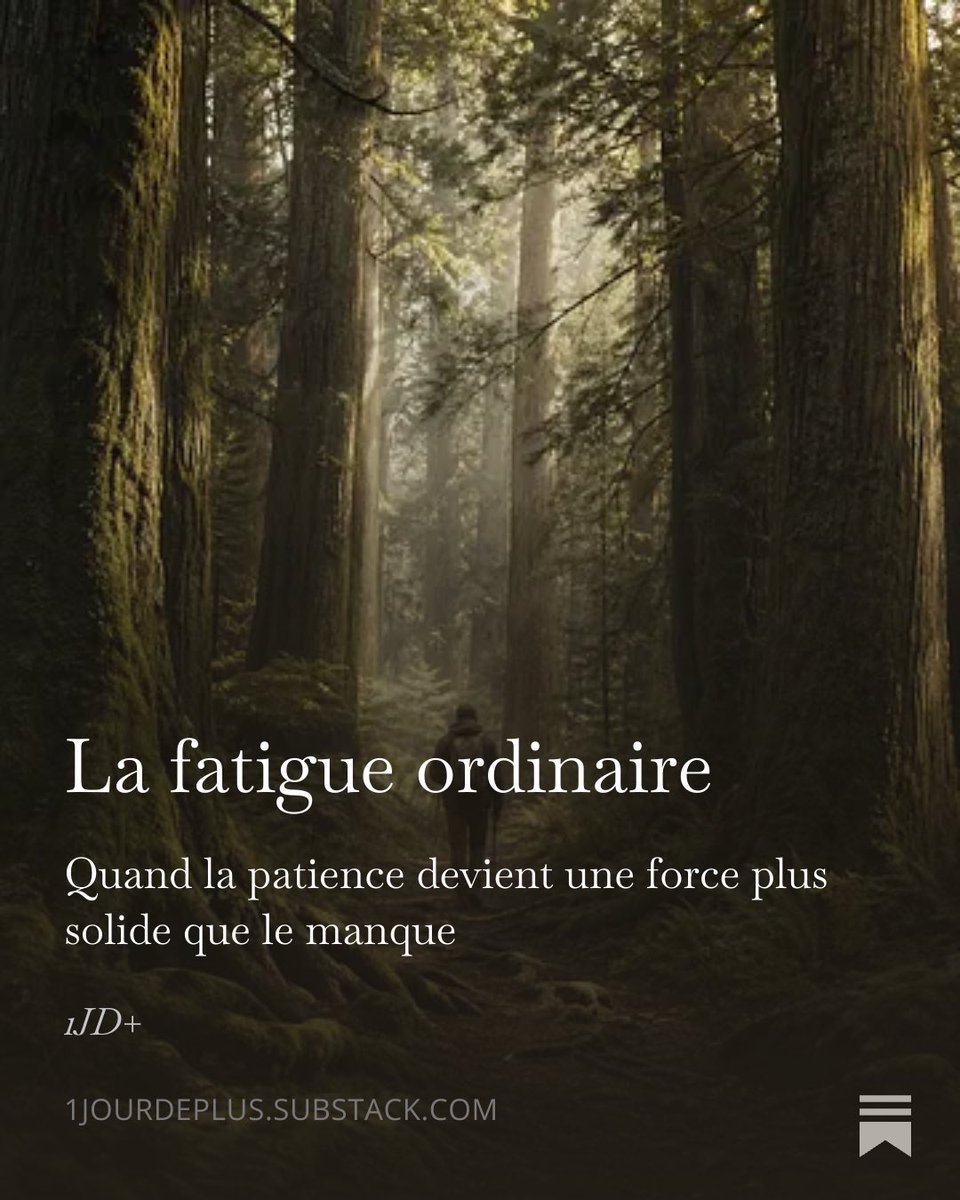 BoufEric's tweet image. Après les premiers jours d’abstinence, il arrive parfois que la fatigue prenne toute la place.

Le corps se plaint.
L’esprit doute.
Et l’on se demande comment continuer.

un jour à la fois.

C’est ici pour l’article👇
open.substack.com/pub/1jourdeplu…

#Patience #UnJourDePlus #Sobriété
