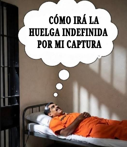 Rener.J.S tweet media