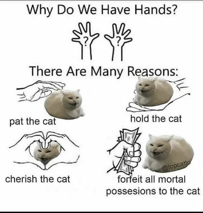 ⋆☾⋆ ˚✩ Kor ✩˚⋆☾⋆ tweet media