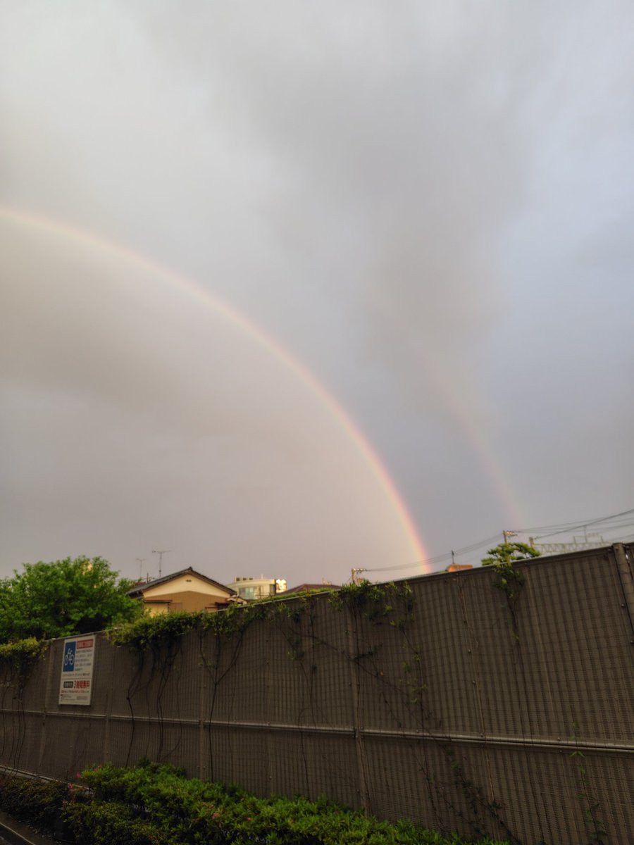 がじもん tweet media