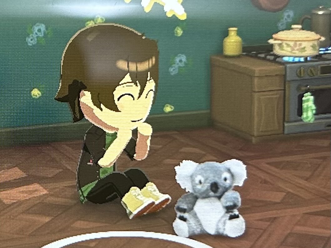 🐨