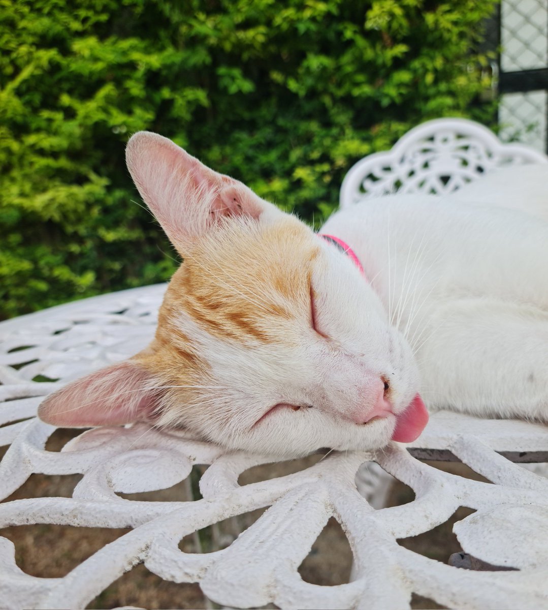 QuizzieMan's tweet photo. Her face while sleeping tho ✨ https://t.co/ZAfHGrB4UK