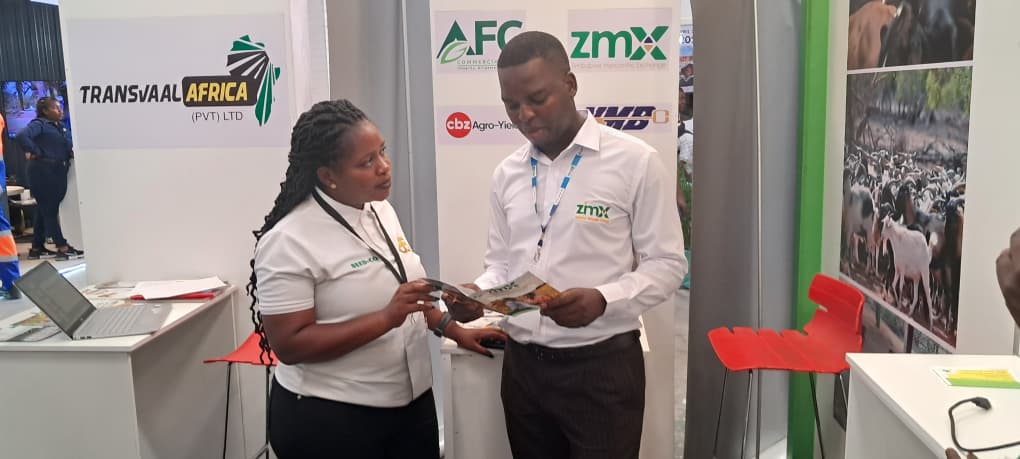 Zimbabwe Mercantile Exchange tweet media