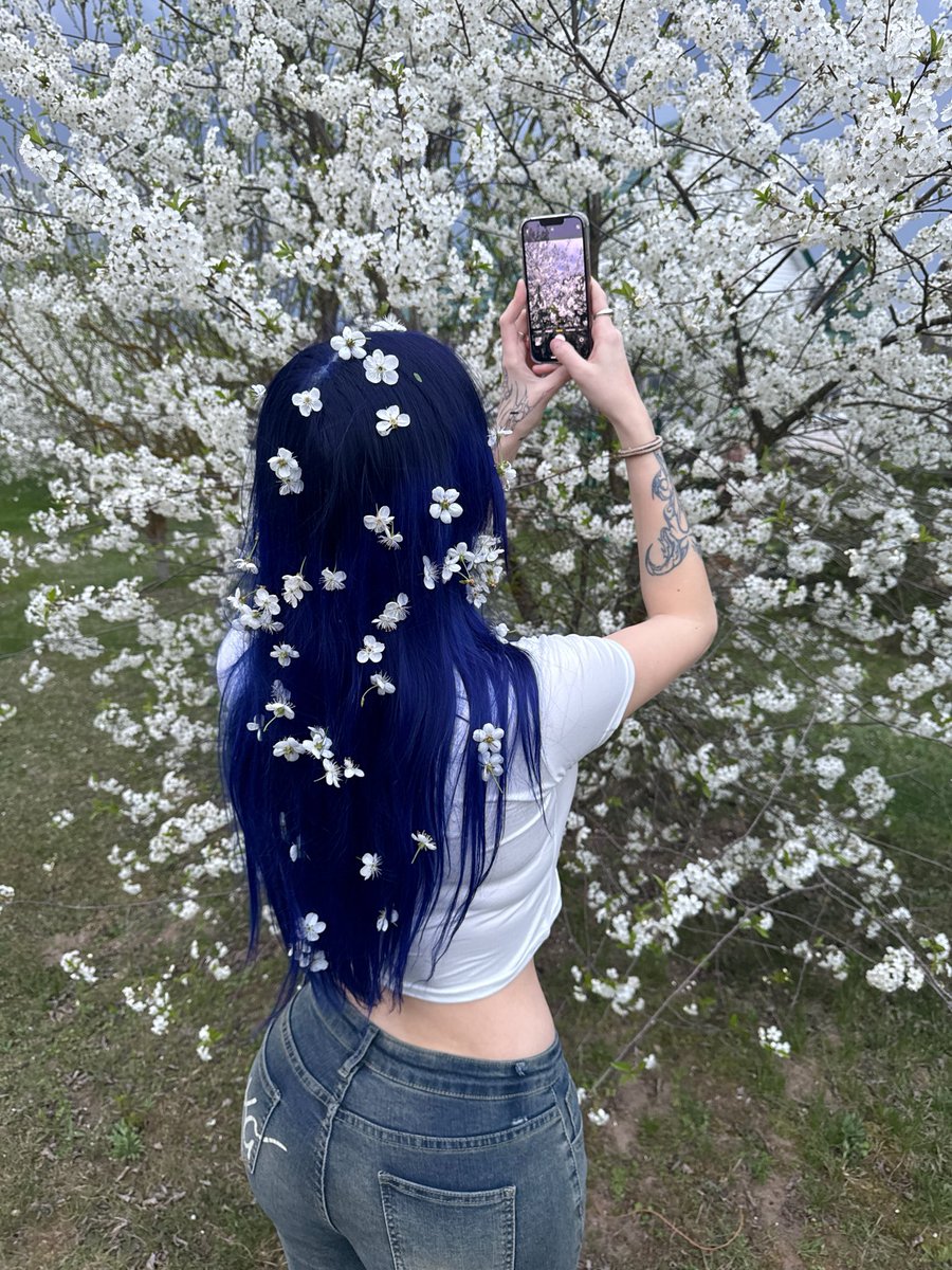 annfigma_'s tweet photo. 🌸🌸🌸 https://t.co/ZeoH7QnjHa