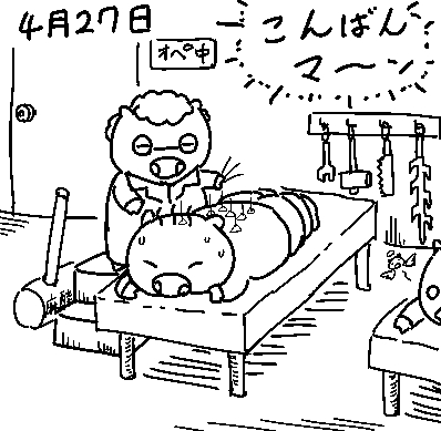 ブタさんは針を打ってもらいに来ているようです。 