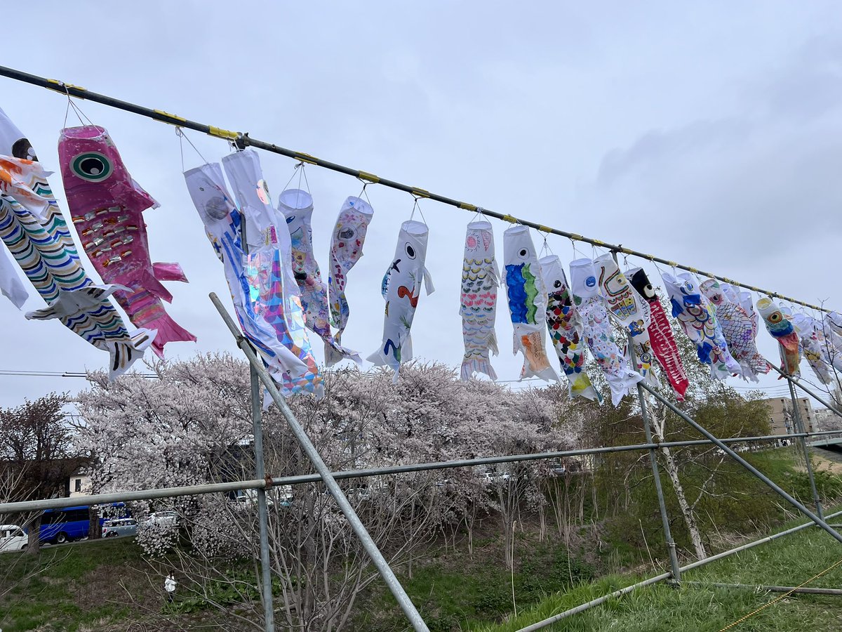 ﾏﾝｶﾞﾝ tweet media